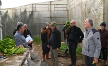  BAŞKAN DENİZ DALUDAN ZARAR GÖREN ÇİFTÇİLERİ ZİYARET ETTİ 